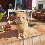 Σπίτι διακοπών Casa Luna, - Luz, Lagos Burgau