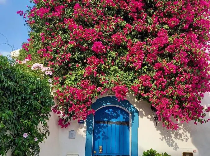 펜션 Casa Luna, - Luz, Lagos *