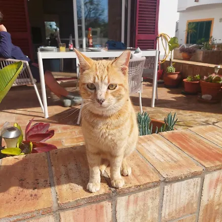 Tatil Evi Casa Luna, - Luz, Lagos Burgau